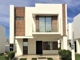 Maison 3 chambre à vendre à Mexicali, Baja California, Mexicali