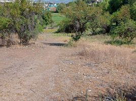  Land for sale in Santiago, Santiago, Santiago, Santiago