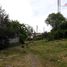  Terreno (Parcela) en venta en Chile, Nacimiento, Biobío, Biobío, Chile