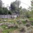  Terreno (Parcela) en venta en Chile, Nacimiento, Biobío, Biobío, Chile