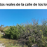  Terreno (Parcela) en venta en Chicxulub Pueblo, Yucatán, Chicxulub Pueblo, Yucatán