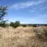  Land for sale in Comonfort, Guanajuato, Comonfort