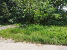  Land for sale in Yogyakarta, Ngaglik, Sleman, Yogyakarta