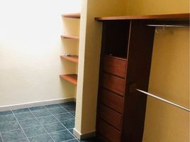在San Luis Potosi出租的4 卧室 屋, San Luis Potosi, San Luis Potosi