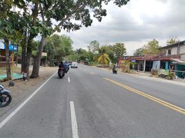  Grundstück zu verkaufen in Kulon Progo, Yogyakarta, Pengasih, Kulon Progo