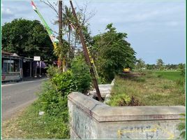  Land for sale in Prambanan, Klaten, Prambanan