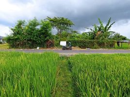  Tanah for sale in Yogyakarta, Godeyan, Sleman, Yogyakarta