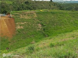  Terreno (Parcela) en venta en Alcala, Valle Del Cauca, Alcala