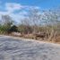  Grundstück zu verkaufen in Progreso, Yucatan, Progreso