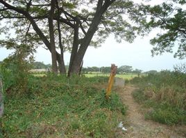 Terrain à vendre à Guayaquil, Guayas, Guayaquil, Guayaquil