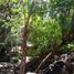  Terreno (Parcela) en venta en Pondokgede, West Jawa, Pondokgede, Bekasi