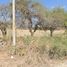 Land for sale in Cerritos, San Luis Potosi, Cerritos