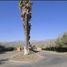  Land for sale in Santiago, Santiago, Santiago, Santiago