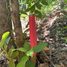  Land for sale in Nuble, San Ignacio, Diguillin, Nuble