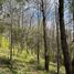  Land for sale in Nuble, San Ignacio, Diguillin, Nuble