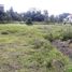  Land for sale in Ubud, Gianyar, Ubud