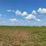  Land for sale in Fresnillo, Zacatecas, Fresnillo, Zacatecas