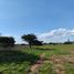  Land for sale in Fresnillo, Zacatecas, Fresnillo, Zacatecas