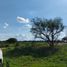  Land for sale in Fresnillo, Zacatecas, Fresnillo, Zacatecas