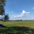  Land for sale in Fresnillo, Zacatecas, Fresnillo, Zacatecas