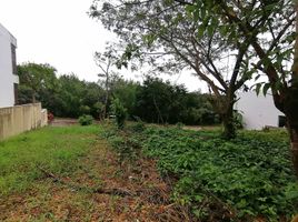  Land for sale in Centro, Tabasco, Centro, Tabasco