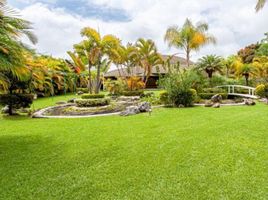 Villa 4 chambre à vendre à Cuernavaca, Morelos, Cuernavaca