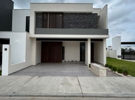 3 Habitación Casa en venta en Jalpa De Mendez, Tabasco, Jalpa De Mendez