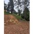  Land for sale in Envigado, Antioquia, Envigado