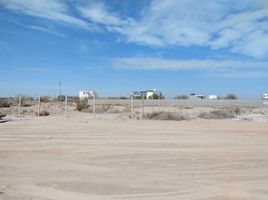 Terrain à vendre à Torreon, Coahuila, Torreon