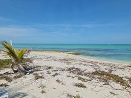  Land for sale in Carmen, Campeche, Carmen, Campeche