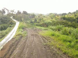  Land for sale in Filandia, Quindio, Filandia