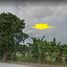  Land for sale in La Union, Ilocos, Rosario, La Union