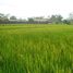  Land for sale in Tampak Siring, Gianyar, Tampak Siring