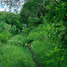  Grundstück zu verkaufen in Hunucma, Yucatan, Hunucma, Yucatan