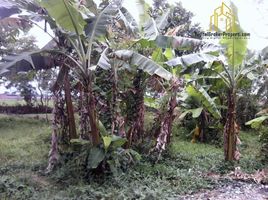  Land for sale in Bandung, West Jawa, Rancaekek, Bandung