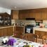 5 Schlafzimmer Villa zu verkaufen in Alvaro Obregon, Mexico City, Alvaro Obregon, Mexico City, Mexiko
