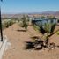  Land for sale in Chile, Ovalle, Limari, Coquimbo, Chile