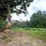  Land for sale in Cerro Punta, Chiriqui, Cerro Punta