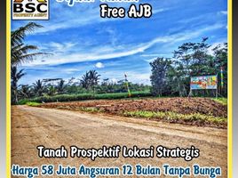  Land for sale in Malang Regency, East Jawa, Kepanjen, Malang Regency