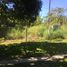 Terrain à vendre à Pueblo Viejo, Veracruz, Pueblo Viejo