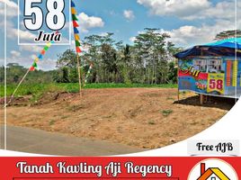  Tanah for sale in Kepanjen, Malang Regency, Kepanjen