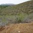 Terrain à vendre à La Paz, Baja California Sur, La Paz