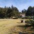  Land for sale in Mineral Del Chico, Hidalgo, Mineral Del Chico