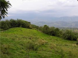  Grundstück zu verkaufen in Tamesis, Antioquia, Tamesis