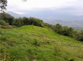  Land for sale in Tamesis, Antioquia, Tamesis