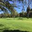  Land for sale in Aguascalientes, Aguascalientes, Aguascalientes, Aguascalientes