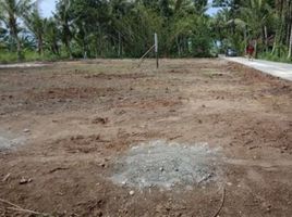  Land for sale in Talang, Tegal, Talang