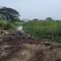  Land for sale in Guayas, Samborondon, Samborondon, Guayas