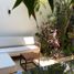 2 Bedroom Villa for rent in Merida, Yucatan, Merida
