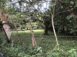  Land for sale in Cali, Valle Del Cauca, Cali